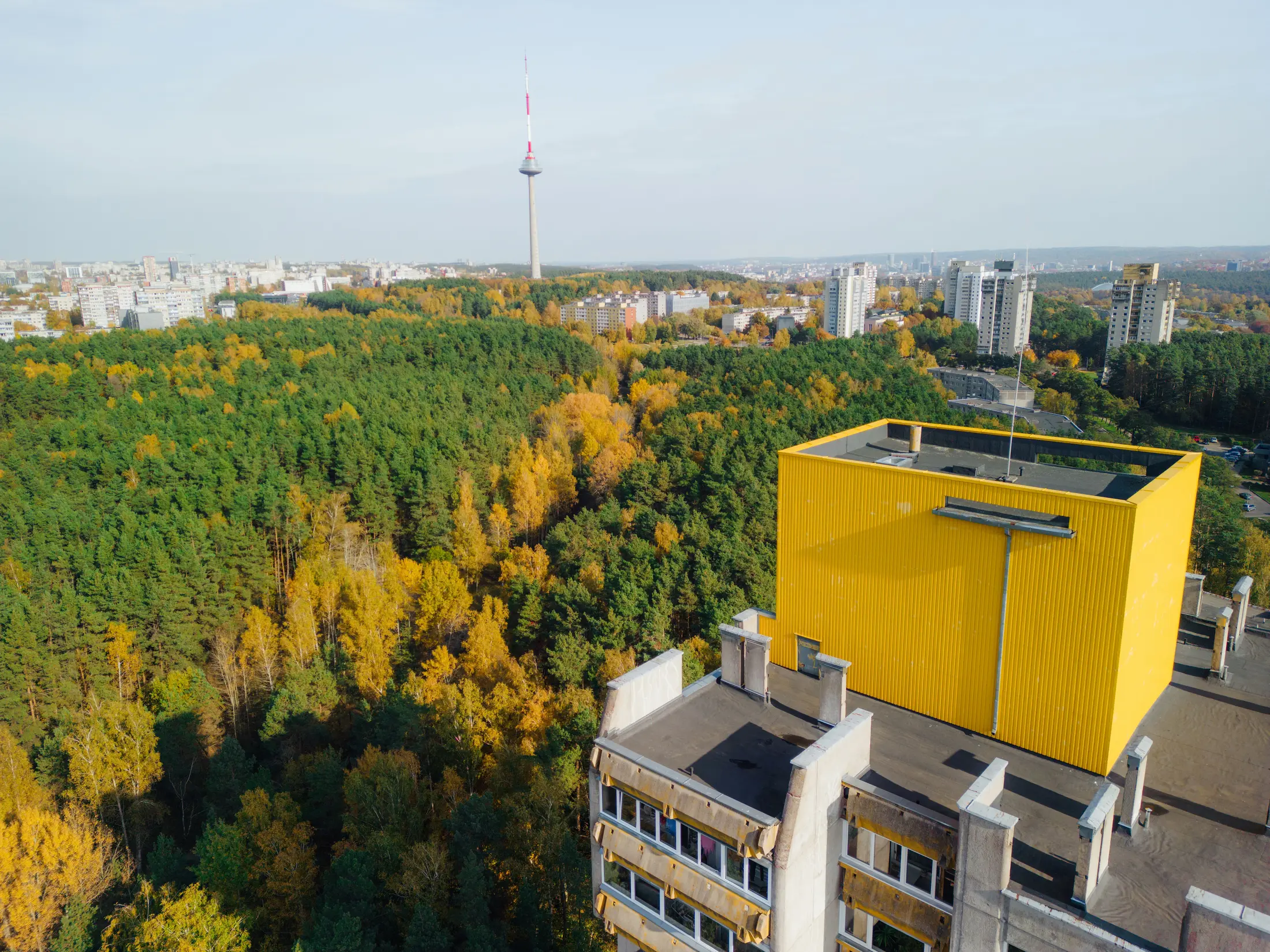 Vilniaus Parkai still 6